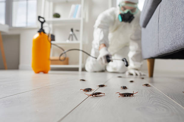 Post-Treatment Bed Bug Interceptor Monitoring in Robins