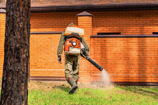Bed Bug Clearance Verification and Documentation in Robins
